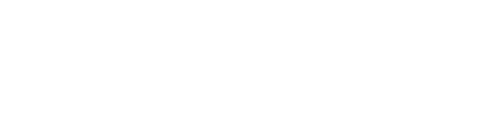 SFT-footer-logo